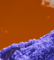 The Future of Urban Farming: Cultivating Sustainability in Metropolis