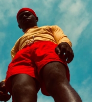 Tech-Savvy Farming: The Future of Urban Agriculture and IoT